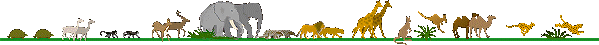 graphic